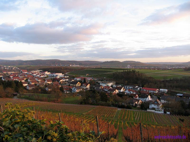 Burg Untergruppenbach (5)