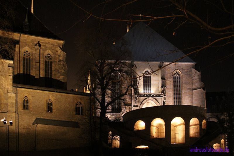 Dom Erfurt (22)