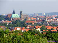 Dom Erfurt (9)