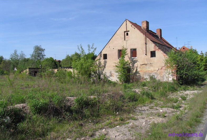 Haus1