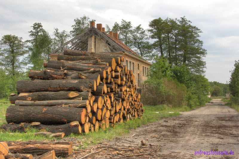 Holz4