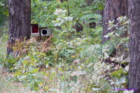 Frontfoto + Blitzlicht