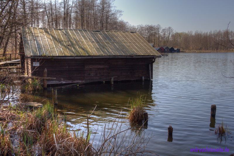 MekPomm259