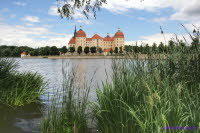 Moritzburg Ufer