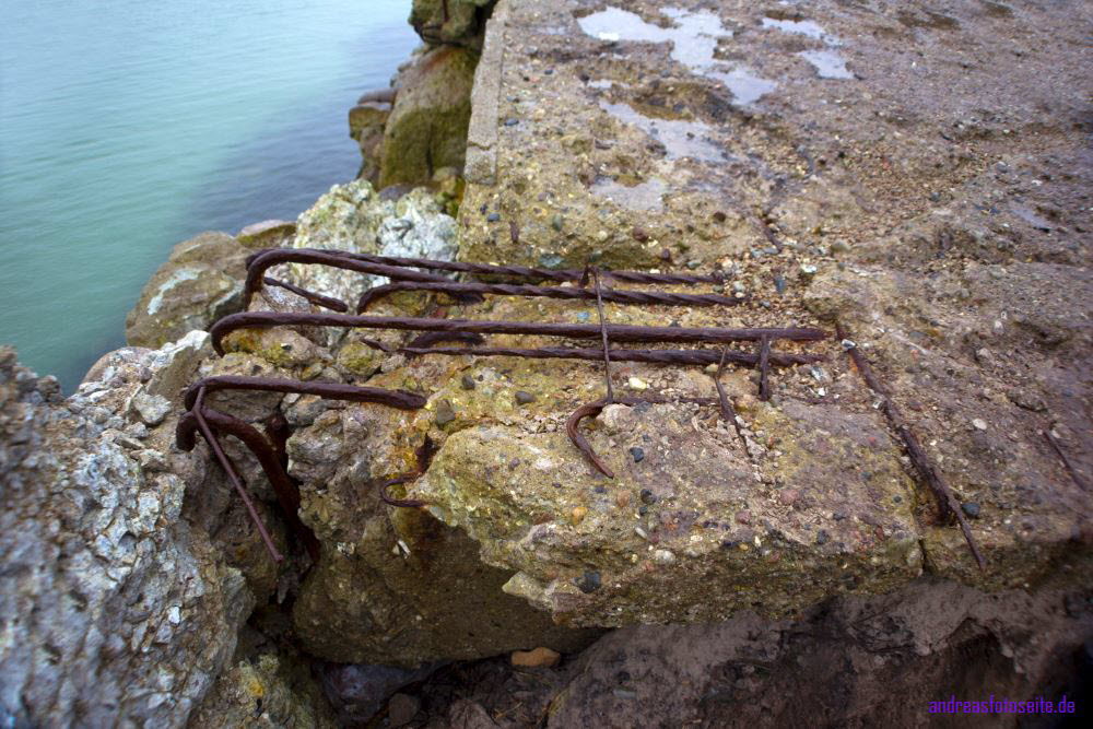 Prora (9)