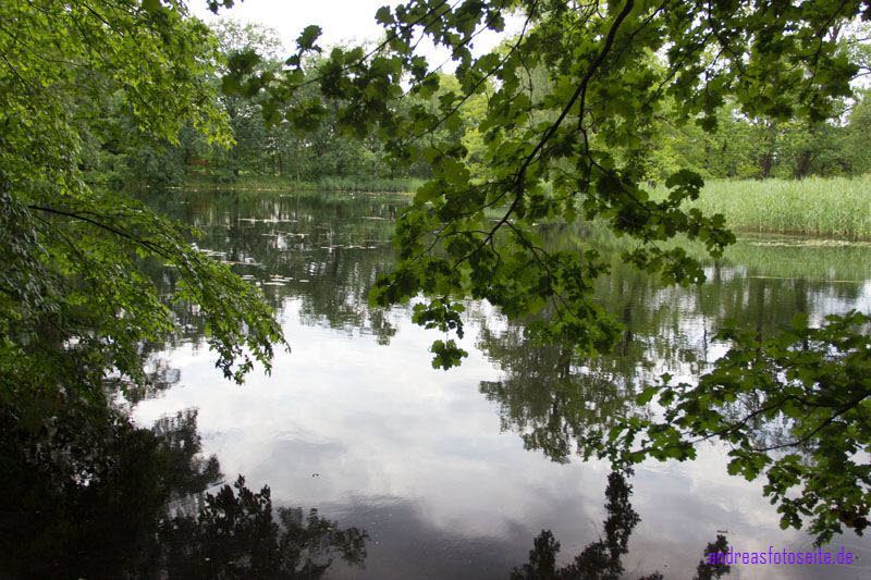 Schlo� Herzberg (7)